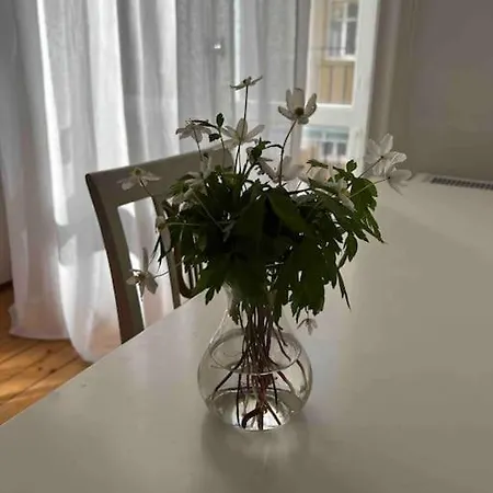 Modern Laegenhet Med Balkong